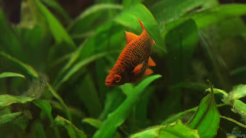 Super von Kai Holdinghausen (33)