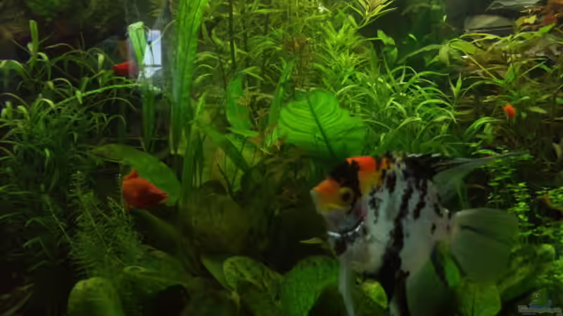 Super1 von Kai Holdinghausen (7)