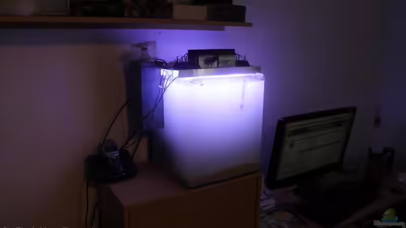 Suppe nachdem ich alles eingebacht habe. War nach 2 Tagen wieder klar von chrisi01 (4)