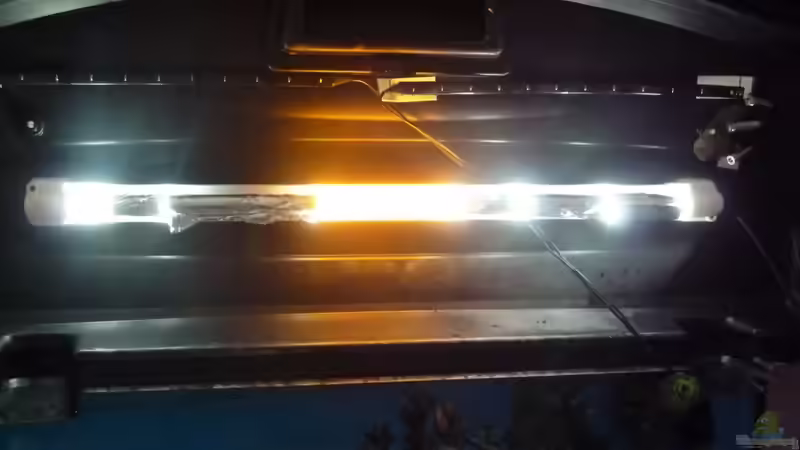 T5 24W: abgedunkelt mit Silberpapier und Scheinwerferfolie. von Couro (15)