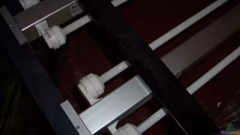 T5 Beleuchtung von VL (7)