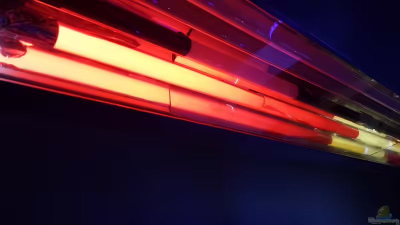 T5 Röhre mit roter Farbfolie abgedeckt. Mitte Gelb, außen mit Alufolie abgedunkelt von Thomas u. Gabriele P. (43)