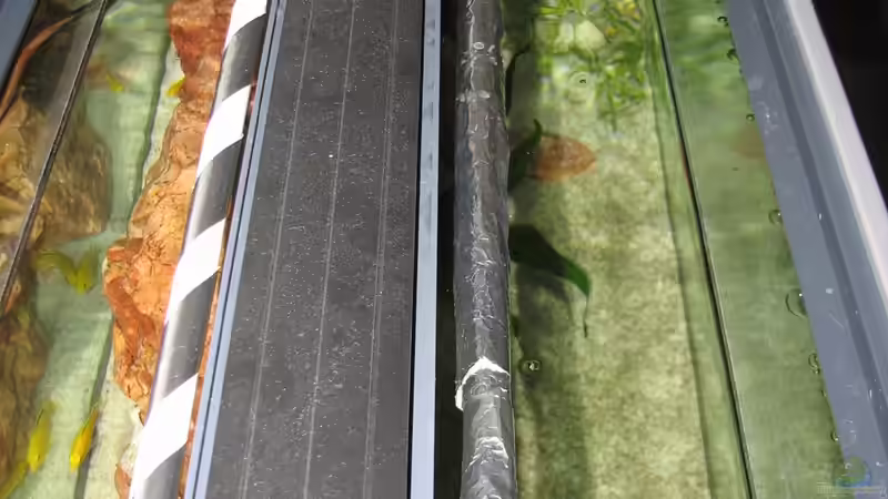 T5 Röhren mit Alufolie stark abgedunkelt von WSP (16)