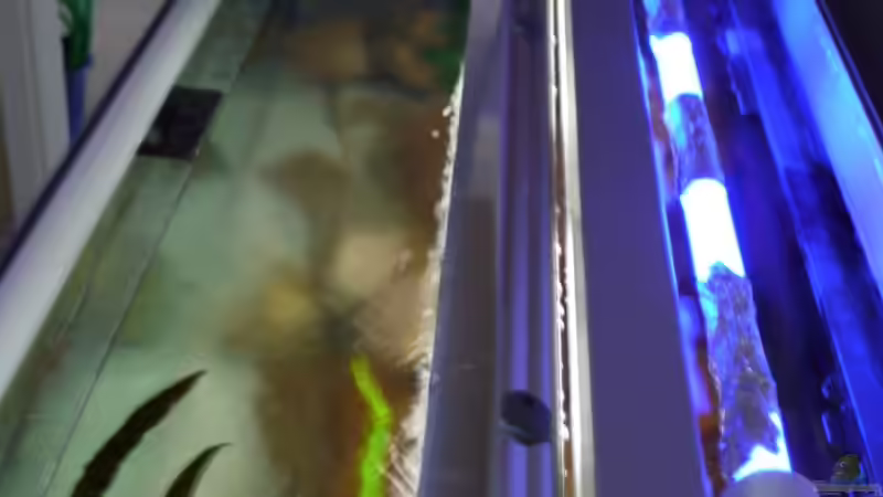 T8 2flammig dimmbar mit Alufolie abgedunkelt von Chimbwe (15)