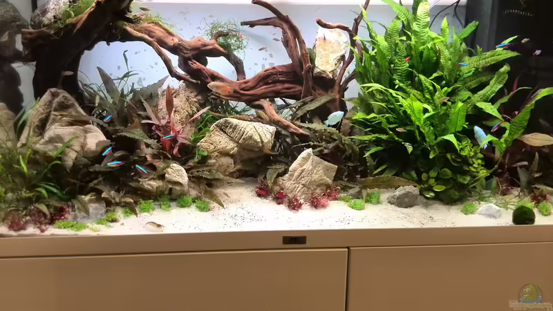 Tag: 010 von Vancouver2010 (5)