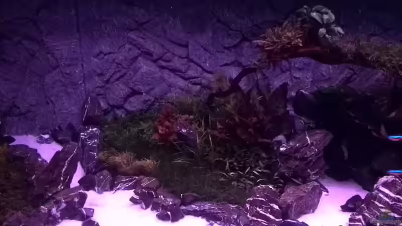 Tag: 019 - Sonnenuntergang - Mitte von Vancouver2010 (51)