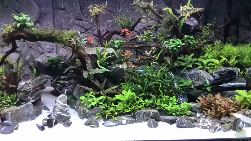 Tag: 020 - rechts von Vancouver2010 (58)