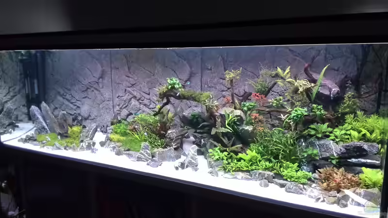 Tag: 020 von Vancouver2010 (52)