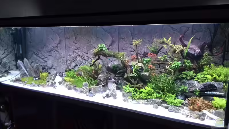 Tag: 020 von Vancouver2010 (53)