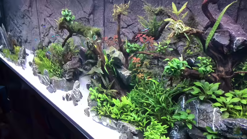 Tag: 020 von Vancouver2010 (57)