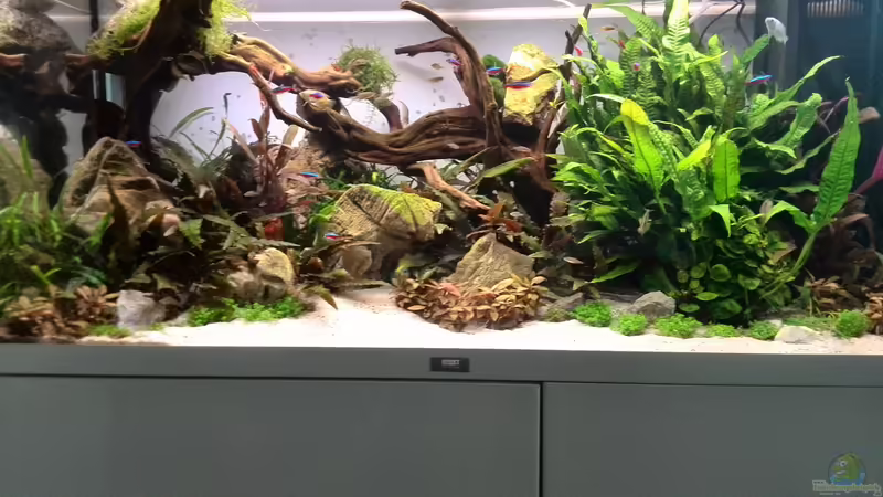 Tag: 022 von Vancouver2010 (6)