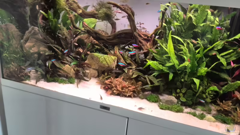 Tag: 037 von Vancouver2010 (8)