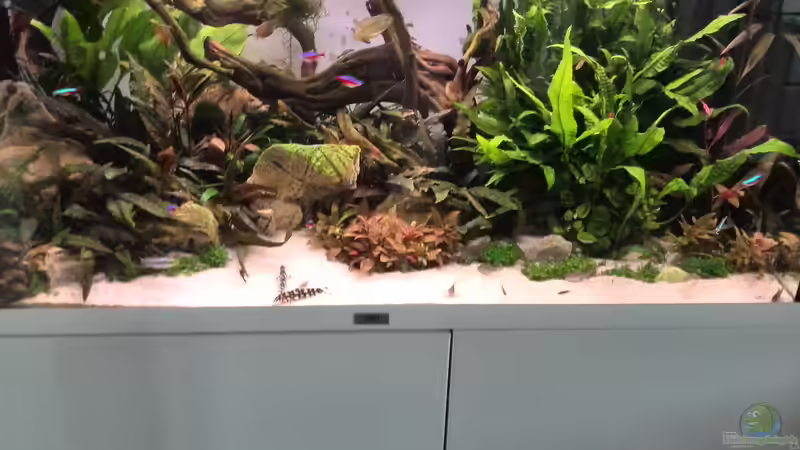 Tag: 037 von Vancouver2010 (9)