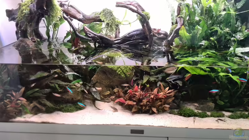 Tag: 051 - Teilzeit Paludarium von Vancouver2010 (13)