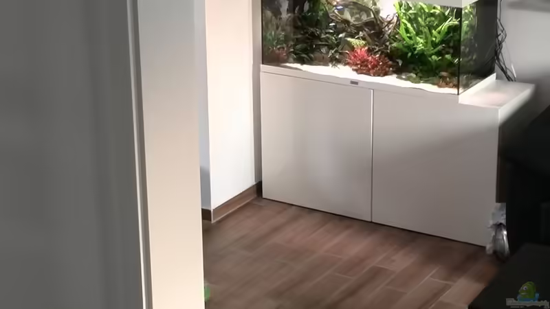 Tag: 066 - Blick von der Treppe von Vancouver2010 (15)