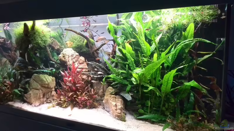 Tag: 086 - Umbau des mittleren Vordergrundes von Vancouver2010 (17)