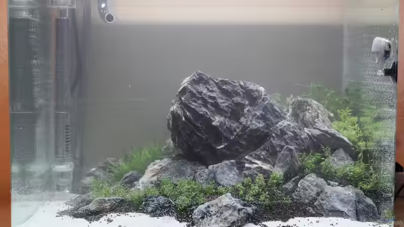 Tag 0 - Direkt nach dem Einrichten und dem Befüllen von X-Rayminator (10)