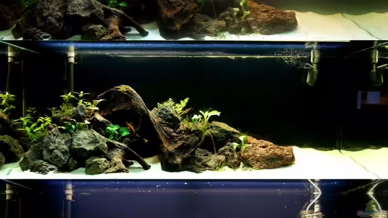 Tag 1 - 8 von Tobi-G (2)