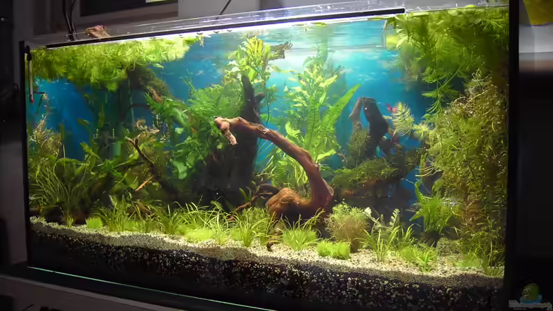 Tag 1 - Erste Woche 2013 von Peter Niehuber (11)