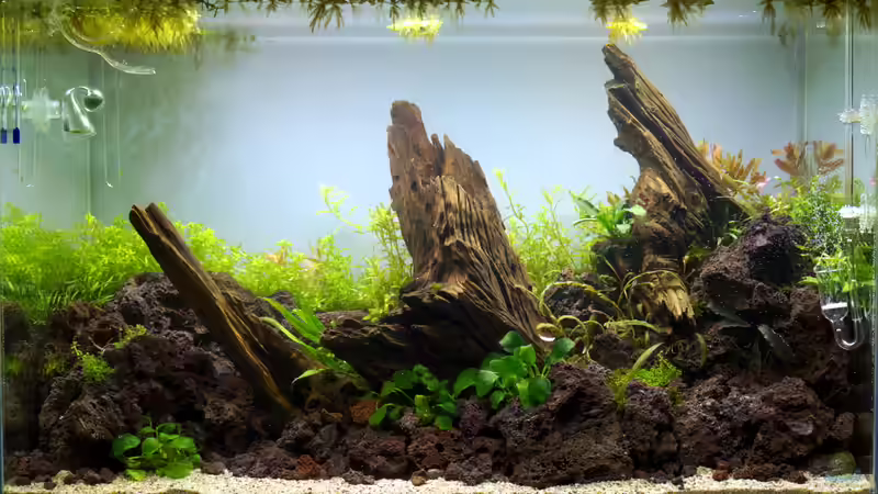 Tag 1 - Frisch eingerichtet von Micha... (2)