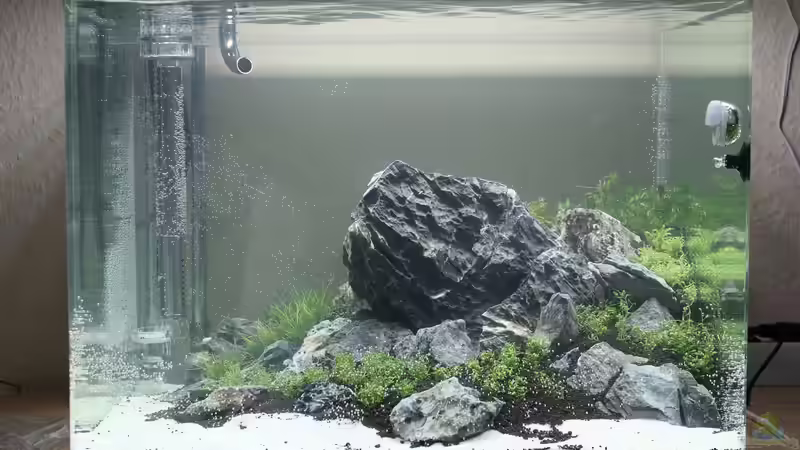 Tag 1 - Noch etwas trübes Wasser von X-Rayminator (11)