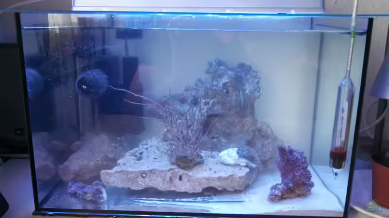 Tag 1 (01.04.2013) von Moepple (4)