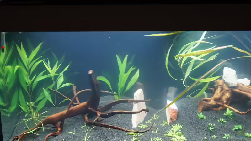 Tag 1 23.02.14 von Kevin K. (8)