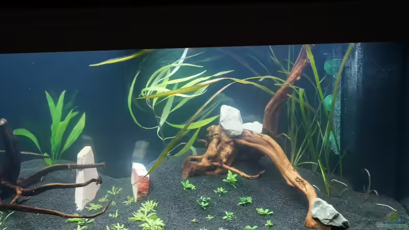 Tag 1 23.02.14 von Kevin K. (9)