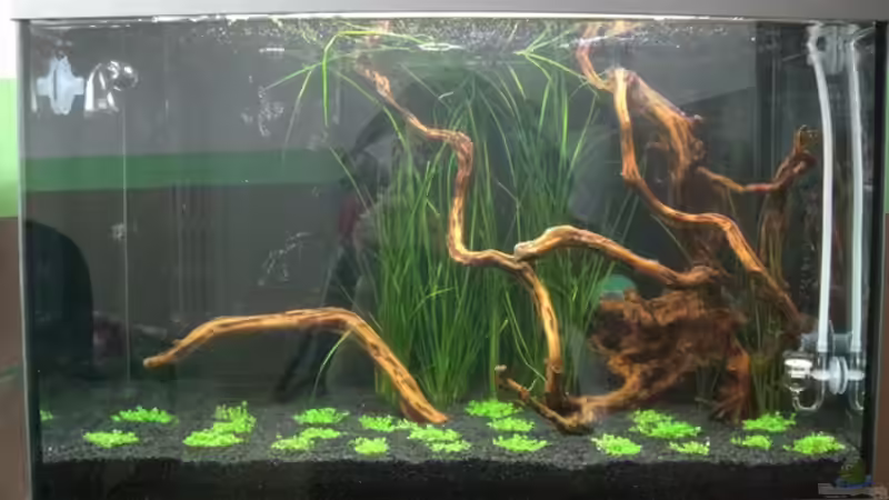 Tag 1 nach der Neueinrichtung von Alex Malsam (2)