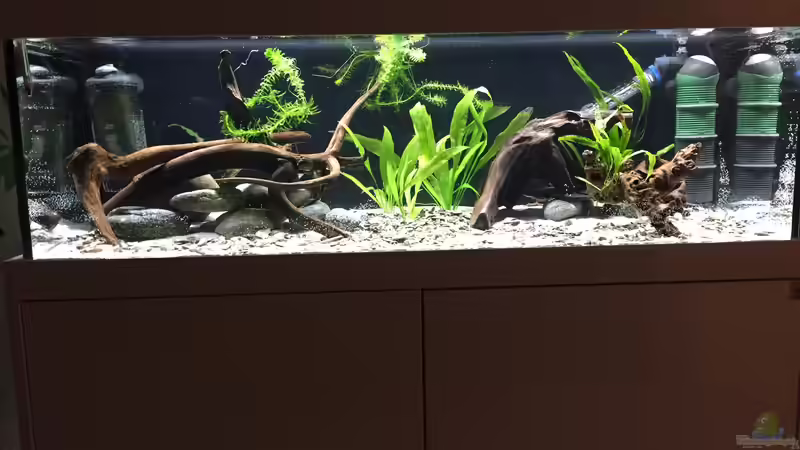 Tag 1 nach Einrichtung von Fäbi_CH (6)