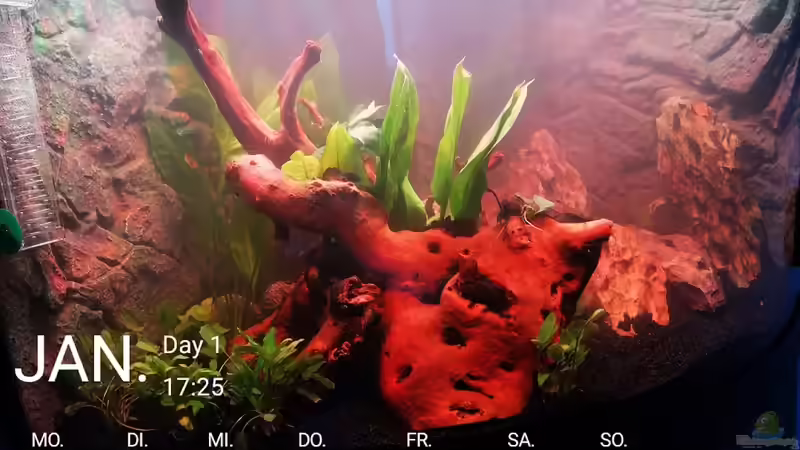 Tag 1 von Alex-ius (2)