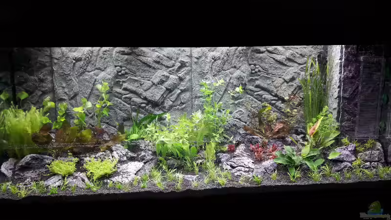 Tag 1 von Anfänger123 (5)