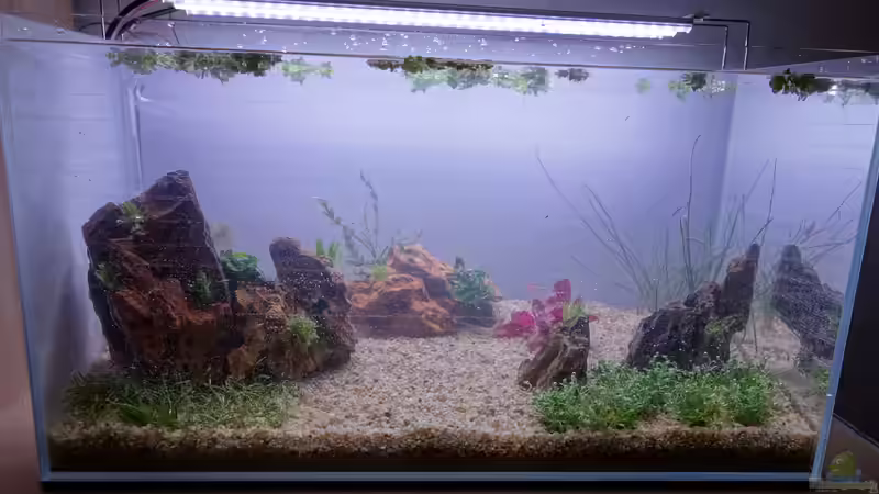 Tag 1 von Bernde (3)