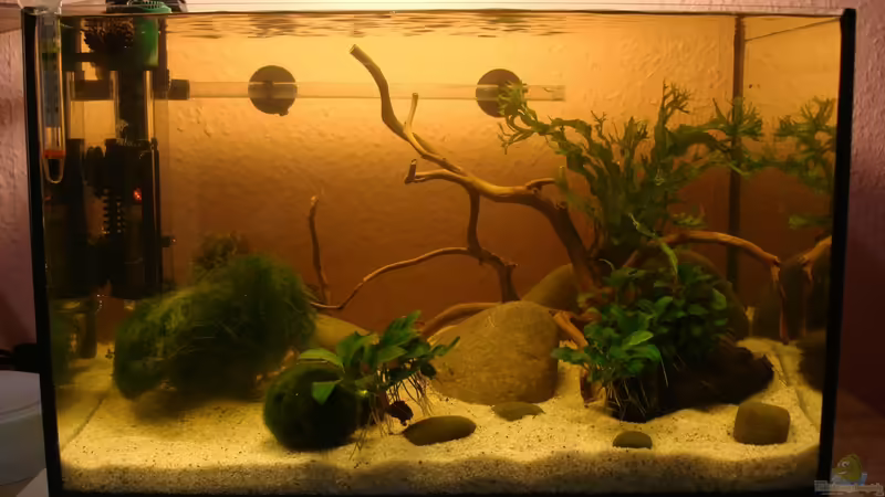 Tag.1 von cantiga (1)