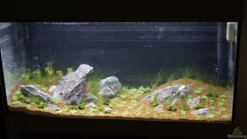 Tag 1 von Christoph Werner (3)