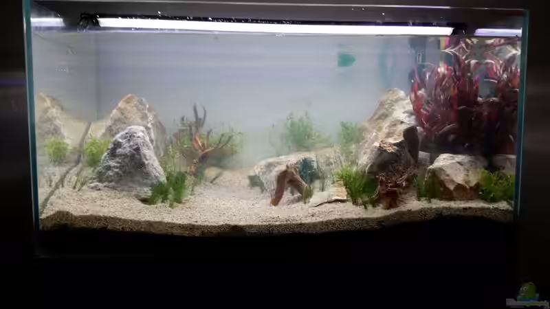 Tag 1 von Livia & Marc (3)