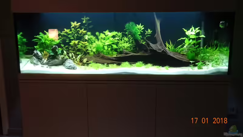 Tag 10 - es tut sich was! von Aqua-Josh (3)