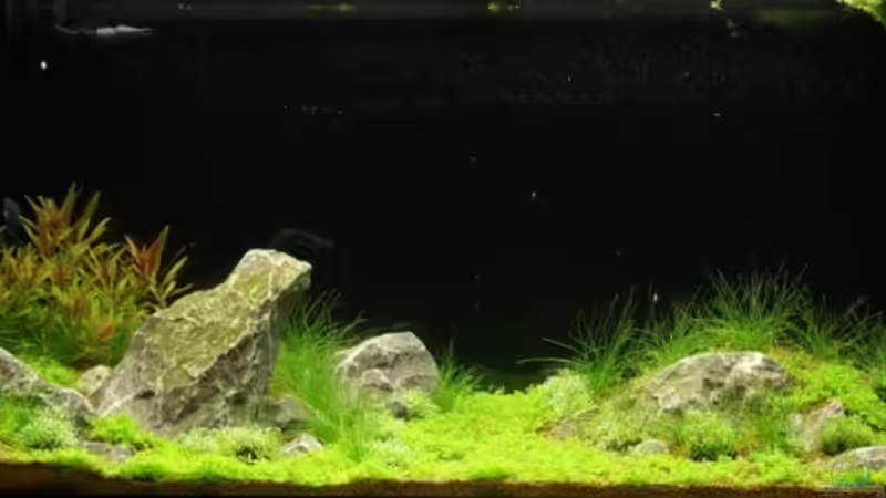 Tag 11 von Christoph Werner (7)