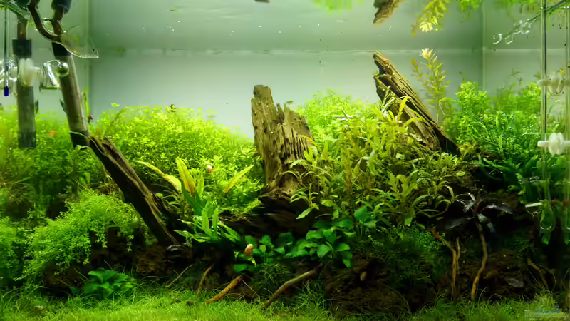 Tag 112 von Micha... (11)