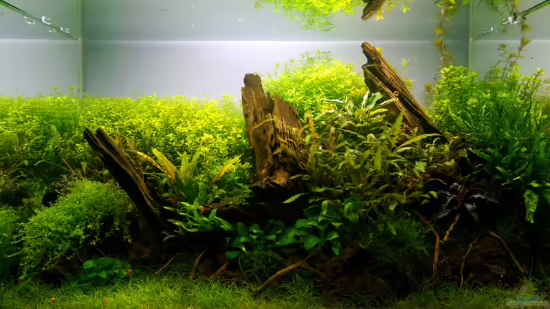 Tag 119 von Micha... (12)