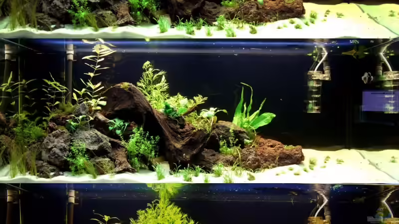 Tag 12 - 23 von Tobi-G (3)