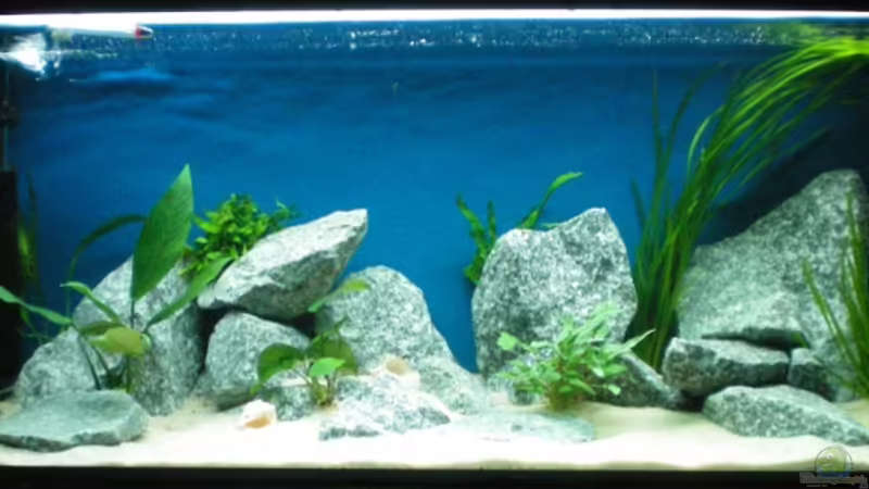 Tag 14 von marco_0 (1)