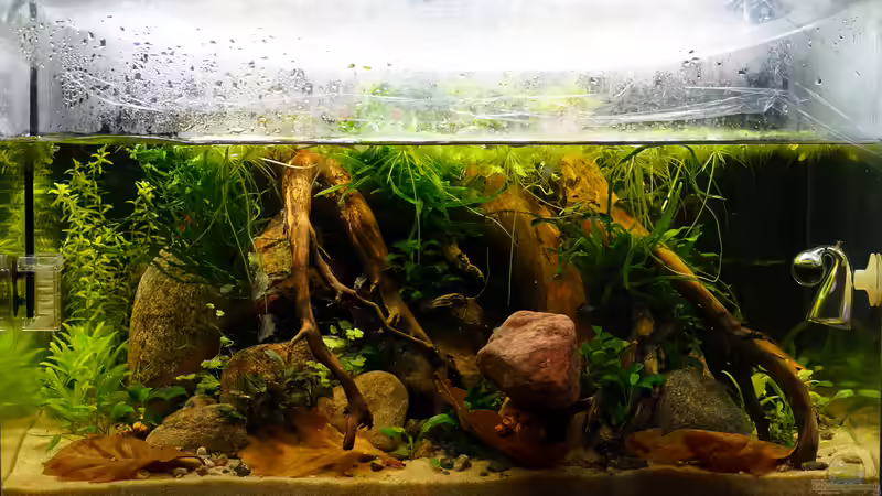 Tag 14 von Micha... (6)