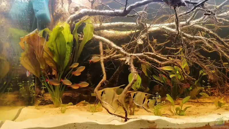 Tag 14 von SaMü (33)