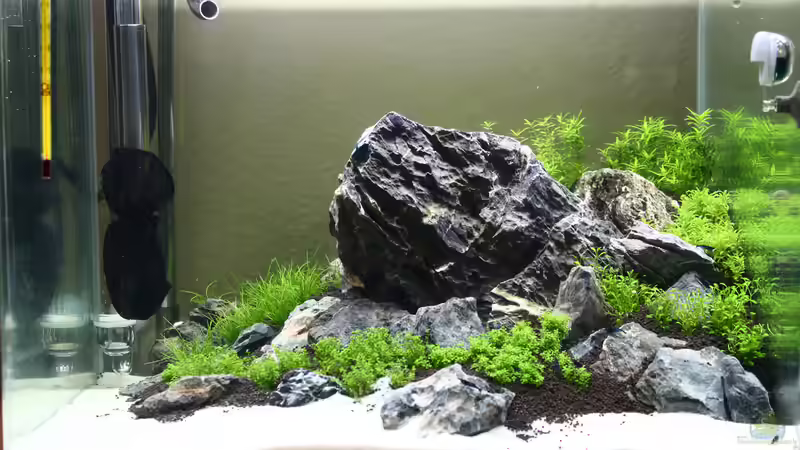 Tag 14 von X-Rayminator (13)