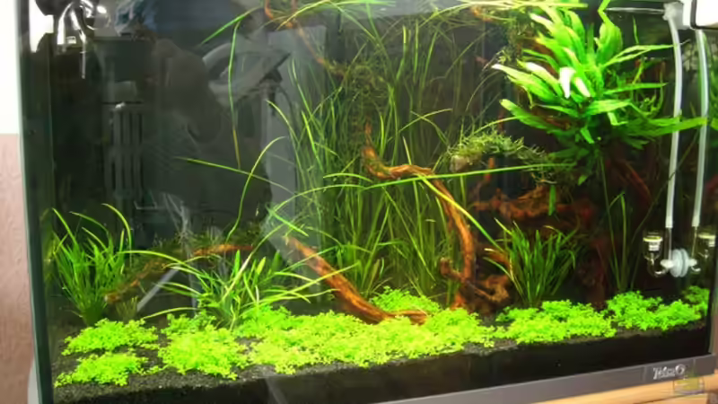 Tag 15 von Alex Malsam (3)