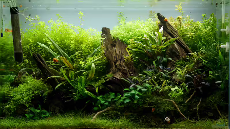 Tag 168 von Micha... (13)