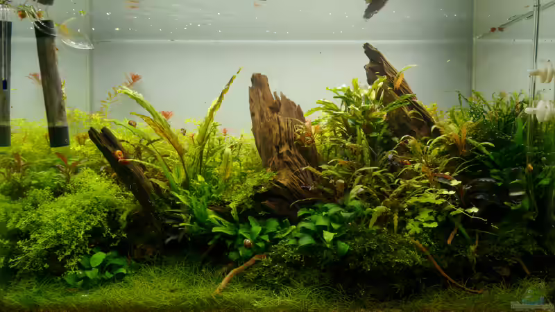 Tag 182 von Micha... (15)