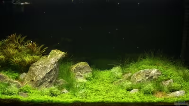 Tag 19 von Christoph Werner (8)