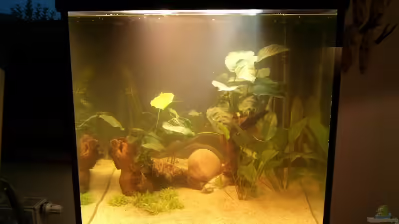 Tag 2, Scubacube, 270l von jaegerin1 (1)